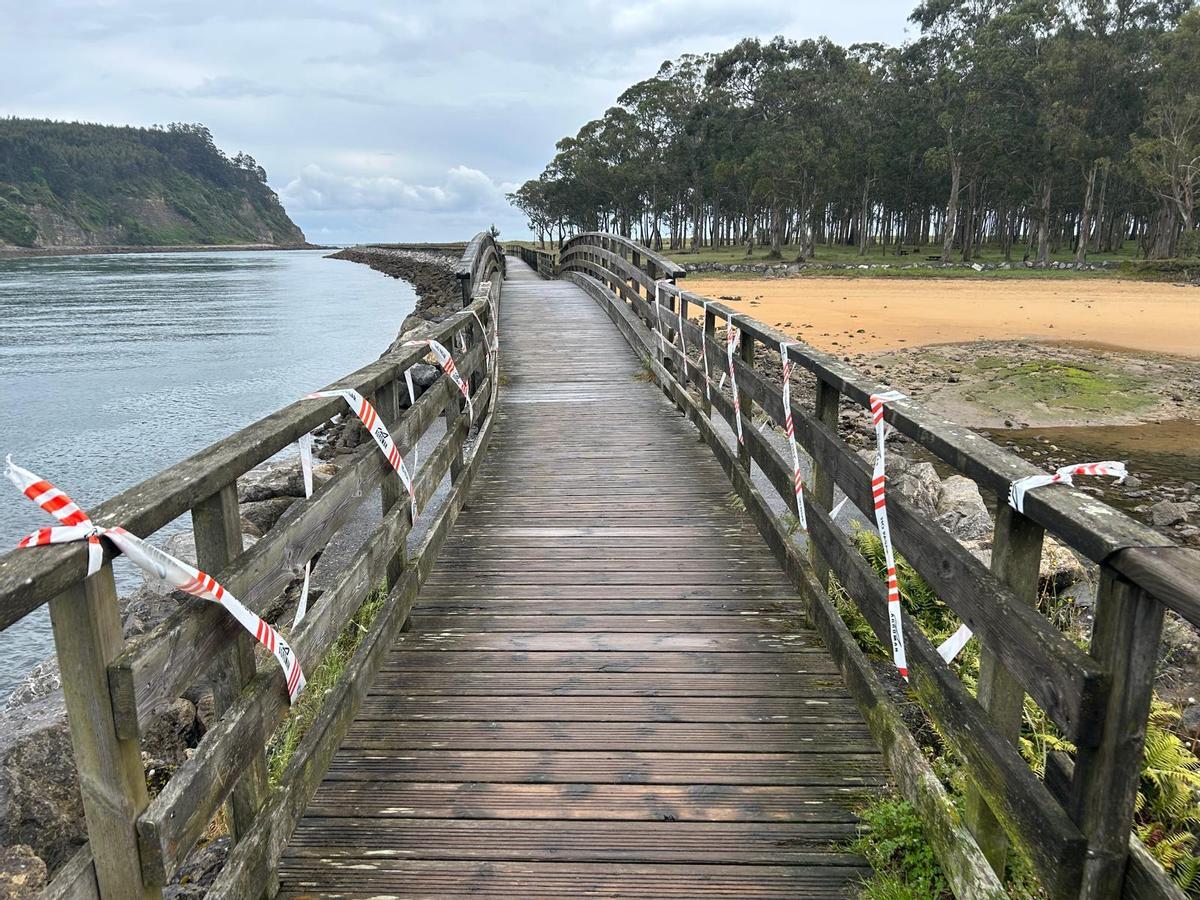 El PP denuncia el abandono de la senda del parque playa de Rodiles, en imágenes
