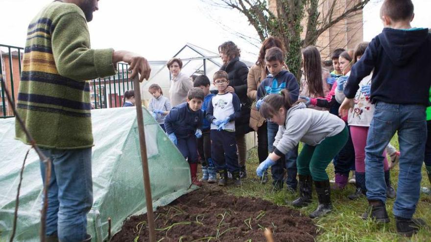 Escolares de La Llamiella participantes en el programa de huertos escolares.