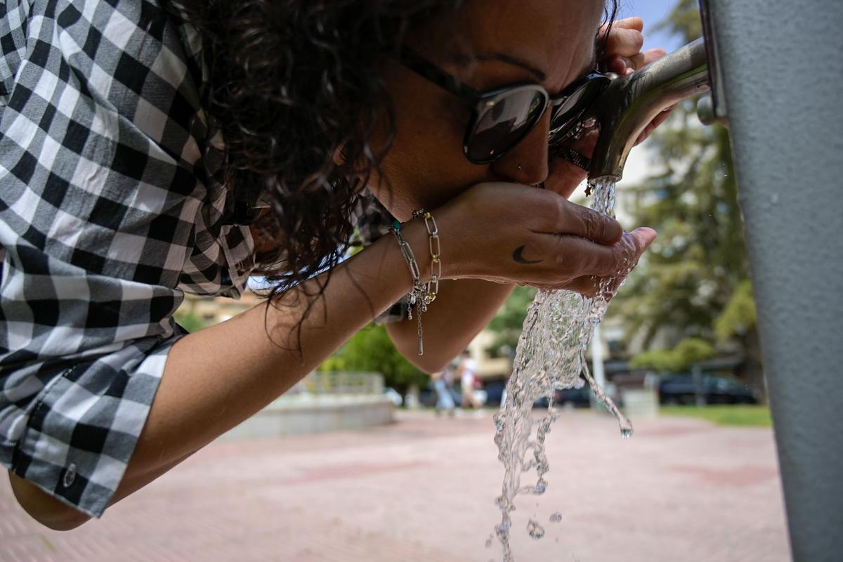 La vida a la calor