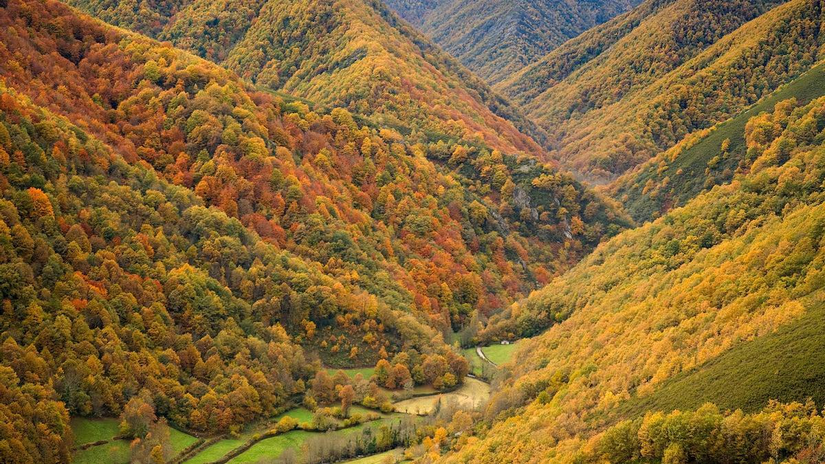 turismo sostenible, otoño