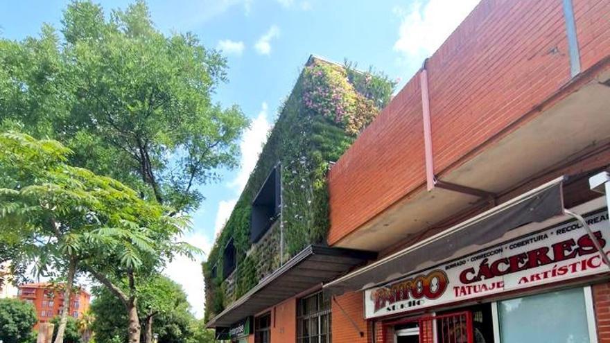 Un jardín vertical para la Estación de Autobuses de Cáceres