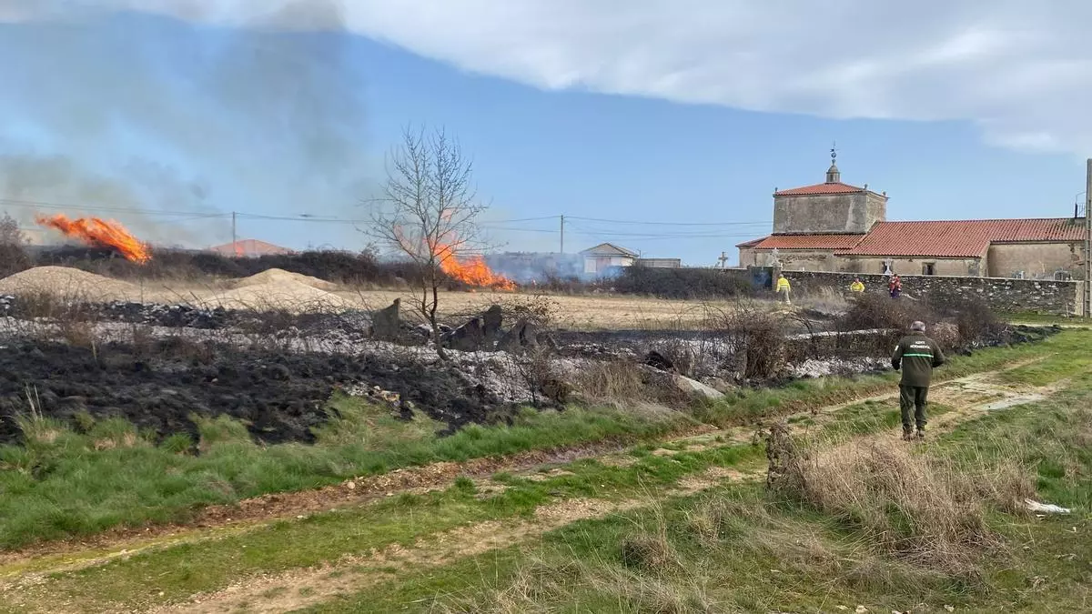 Los Bomberos del Parque Tierras de Aliste sofocan un incendio de vegetación en San Vitero