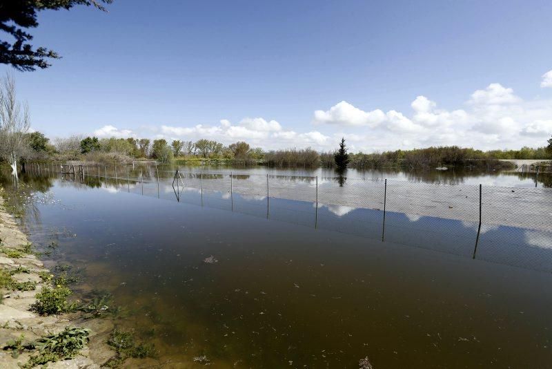 Consecuencias de la crecida del Ebro