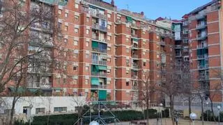 Los mosquitos se ceban con una manzana de pisos en el Clot de Barcelona: "No sabemos qué hacer"