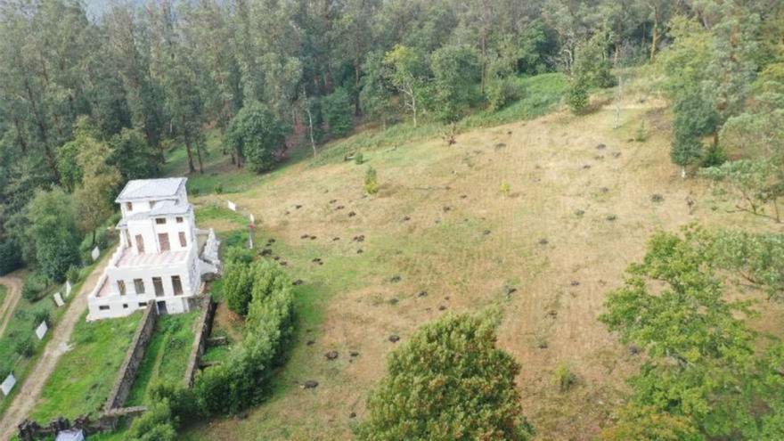Especialistas testarán la salud del ‘pulmón verde’ de Oza-Cesuras tras hallar una plaga