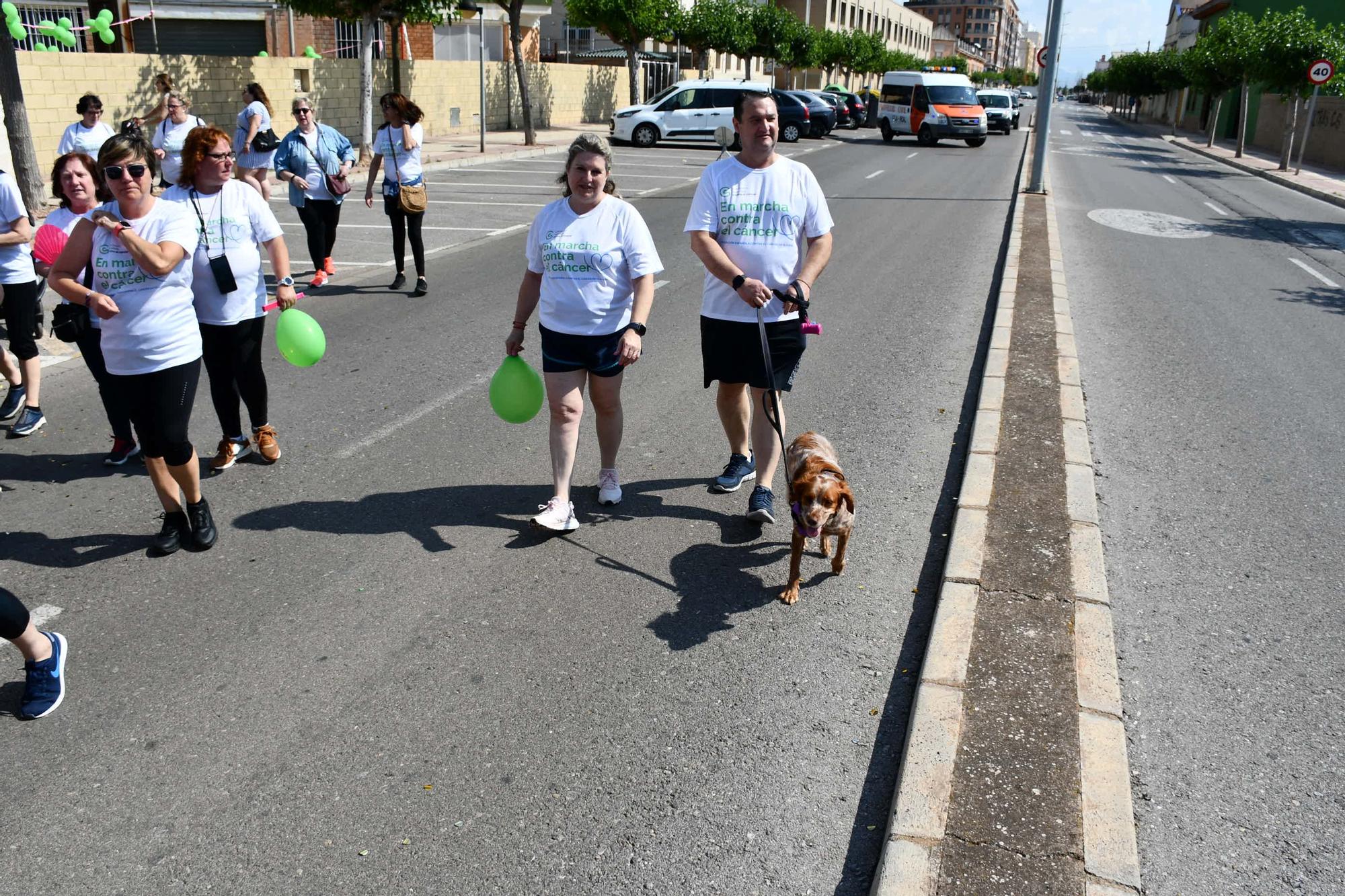 Todas las fotos de la marcha contra el cáncer de Vila-real