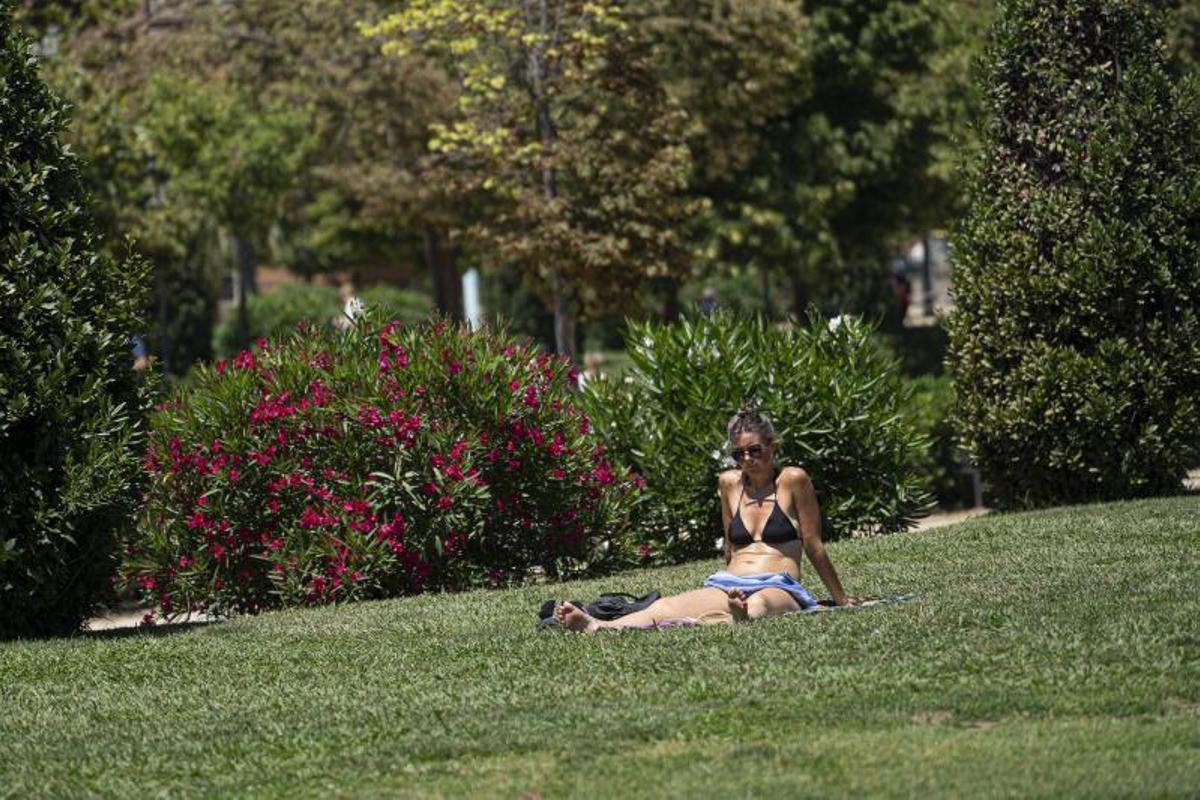 Expats y turistas toman el sol en parques urbanos