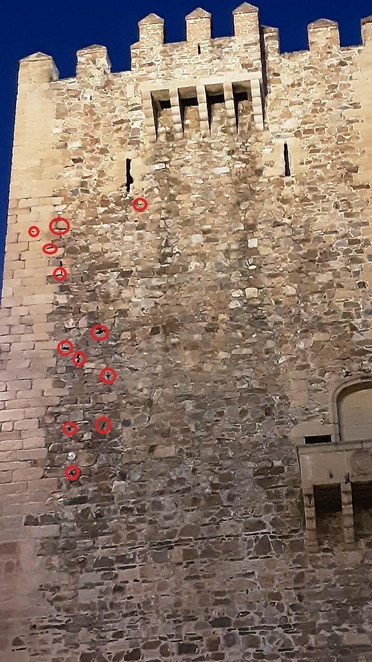 Los colectivos han señalado de forma gráfica, al menos, 12 huecos que sirven de nidos de vencejos