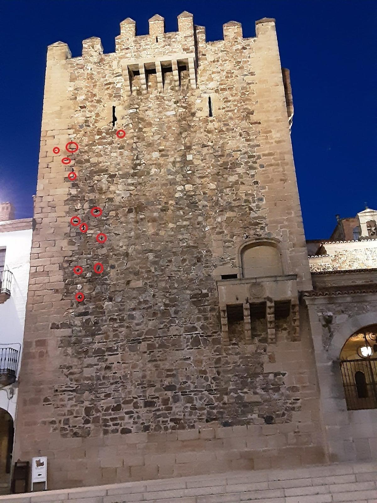 Los colectivos han señalado de forma gráfica, al menos, 12 huecos que sirven de nidos de vencejos