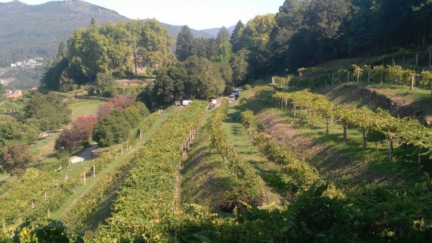 El castillo de Soutomaior acoge una jornada de catas de vino