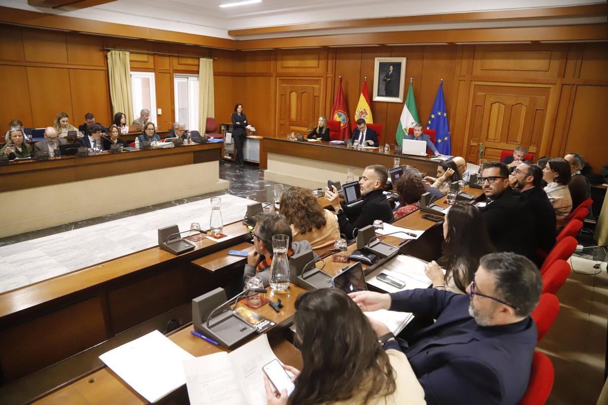 A.J.González Córdoba Pleno del del Ayuntamiento