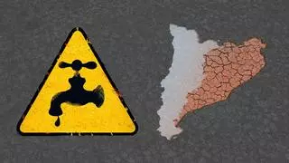 Multimedia | Sequía en Catalunya: ¿se hicieron los deberes para gestionar la emergencia?
