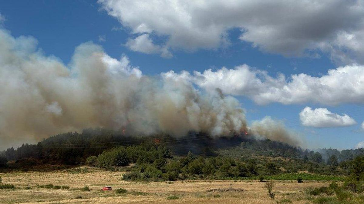 Imatge de l'incendi.