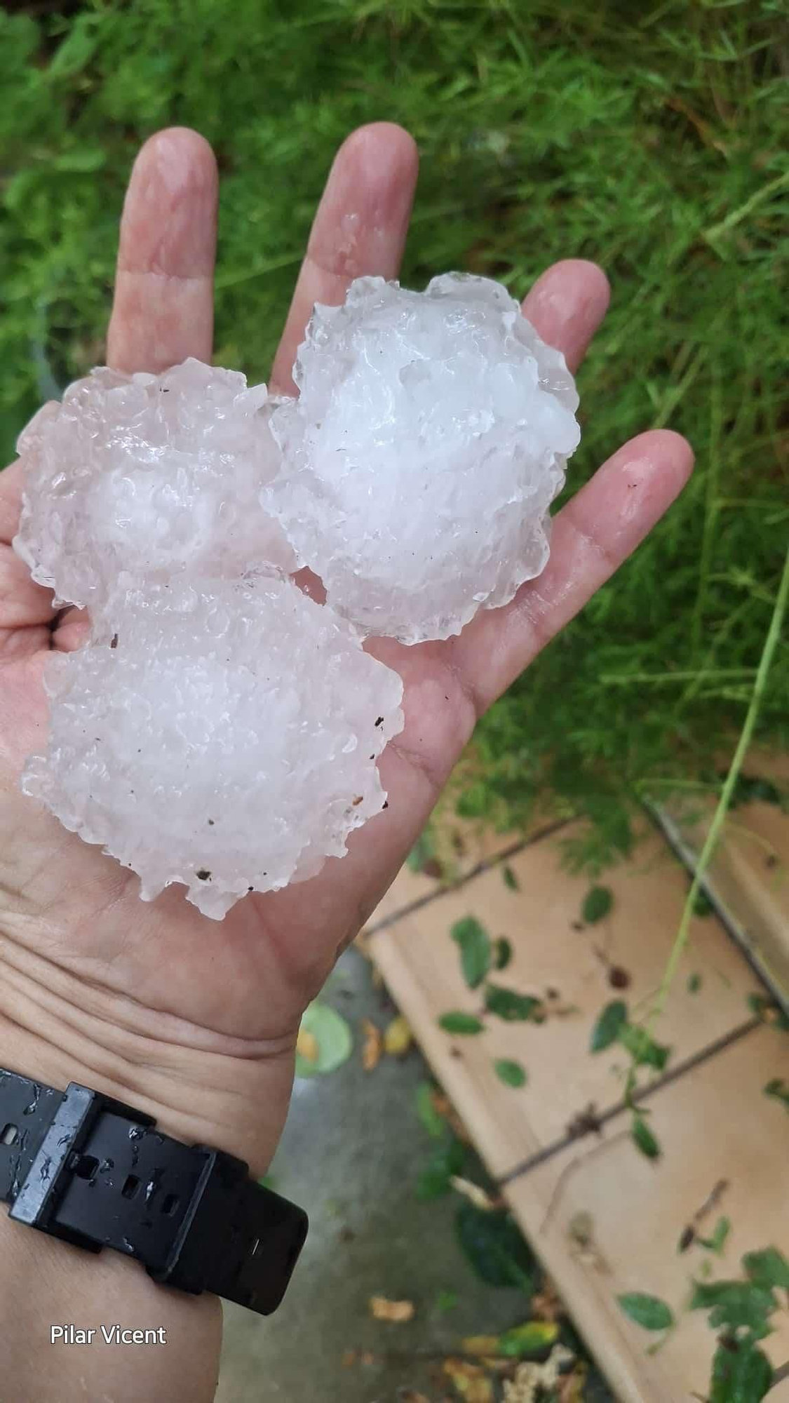 Estas son las consecuencias de la granizada en Vilavella