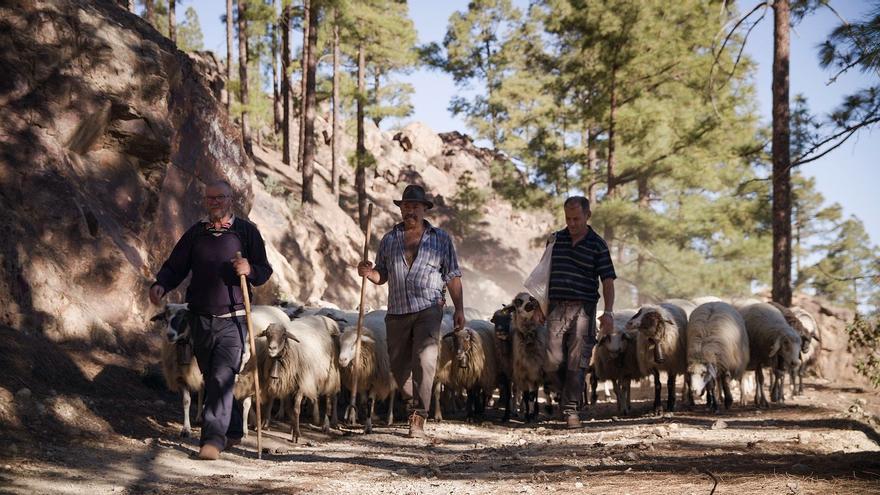 La Reserva de la Biosfera de Gran Canaria celebra este sábado en La Aldea de San Nicolás una asamblea para constituir su Consejo de Participación Pública