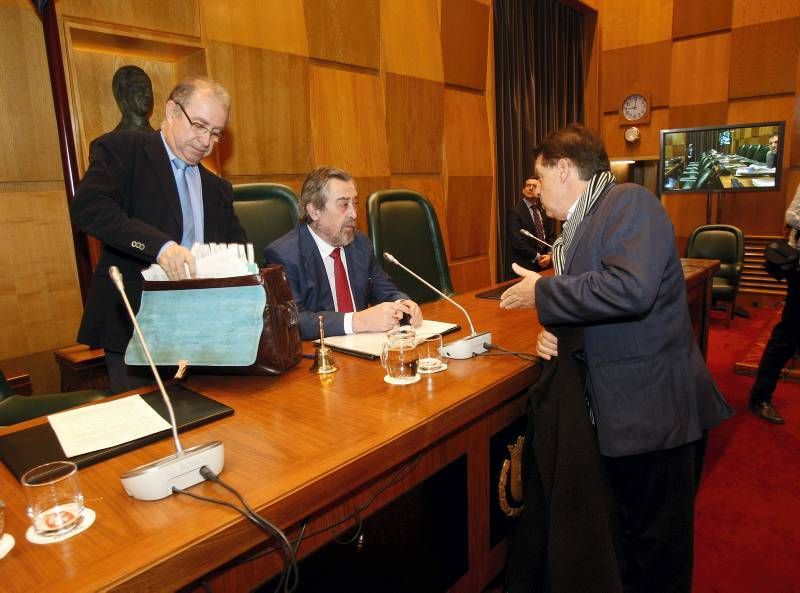 Fotogalería: Pleno en las Cortes de Aragón