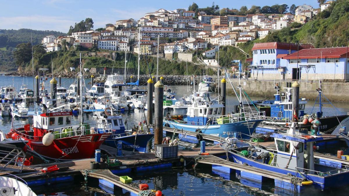 Embarcaciones en el puerto de Lastres. | Pablo Solares