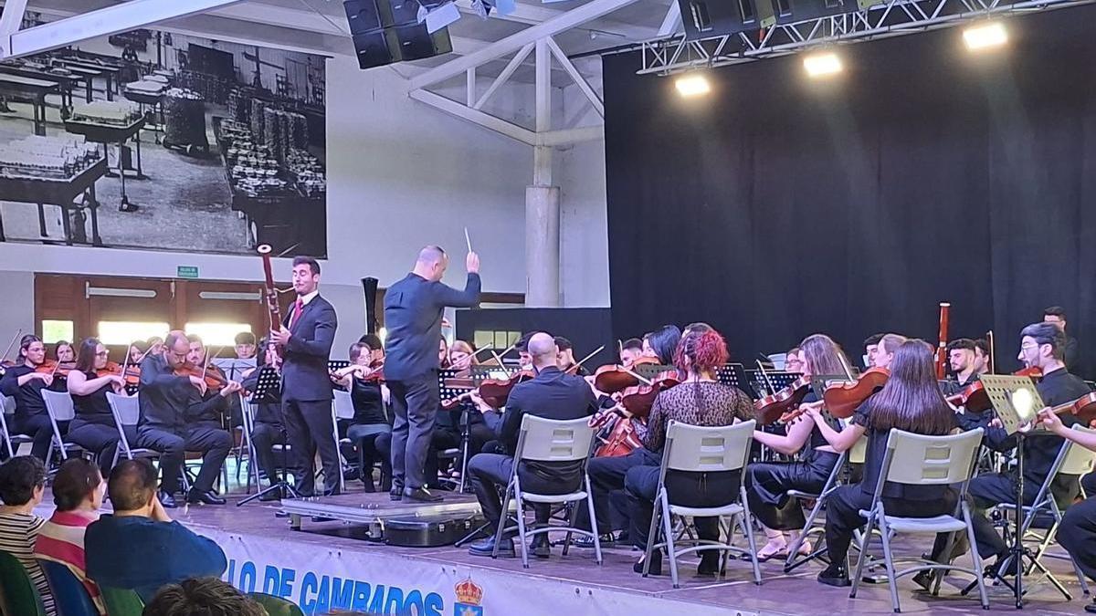 Un momento del concierto de la orquesta Gaos en Cambados.