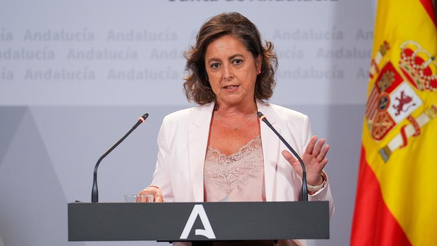 La consejera de Salud y Consumo, Catalina García, en una rueda de prensa posterior al Consejo de Gobierno.