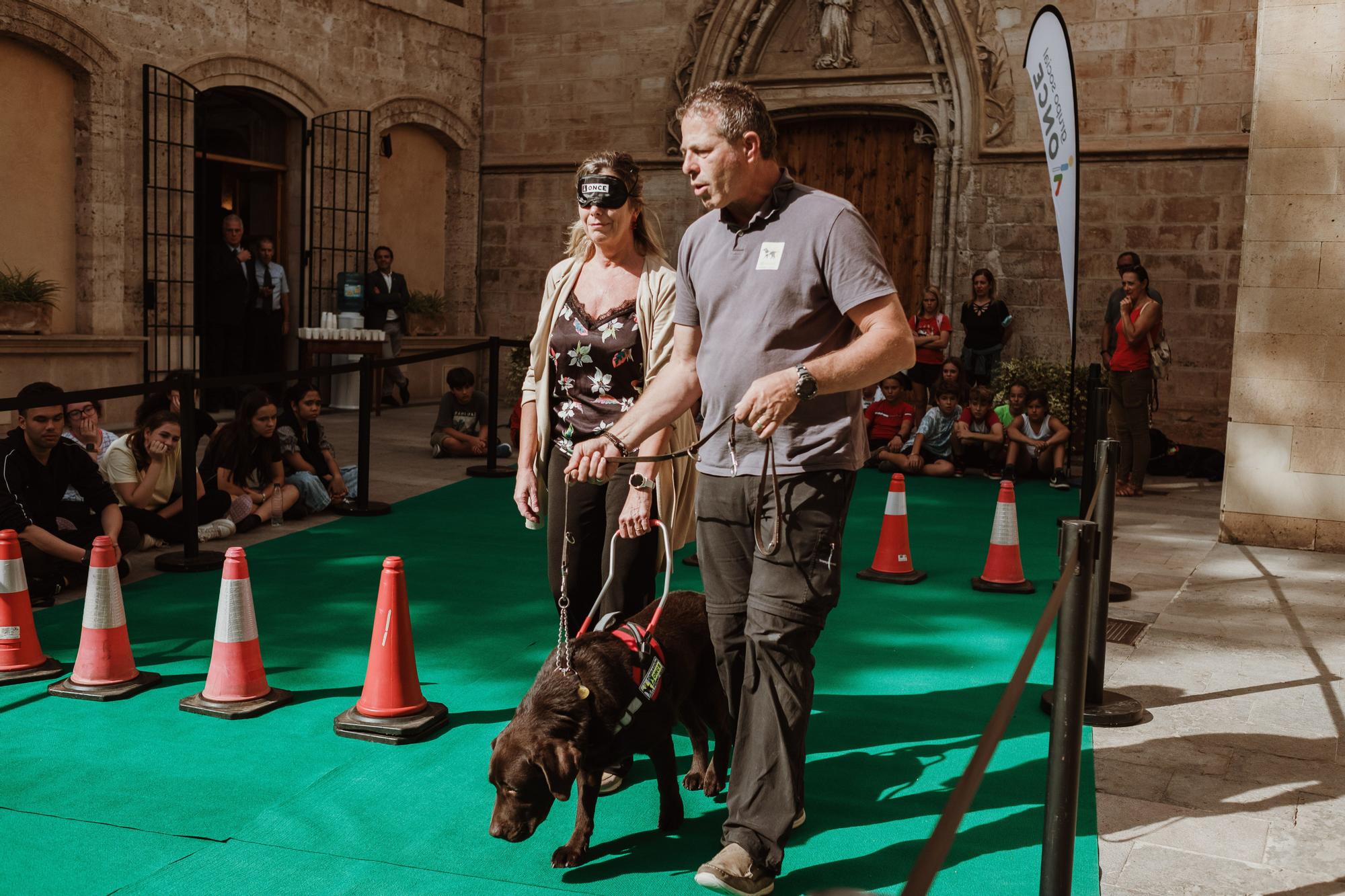 Exhibición de perros guía para personas ciegas en Palma
