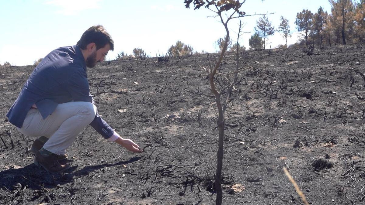 El vicepresidente Juan García-Gallardo en la Sierra de la Culebra. | RRSS