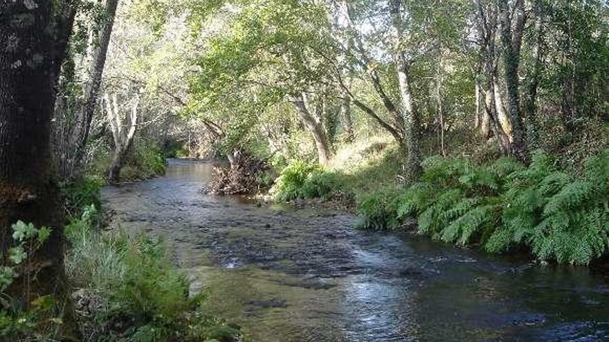 El río Deva, a su paso por A Cañiza. // D.P.