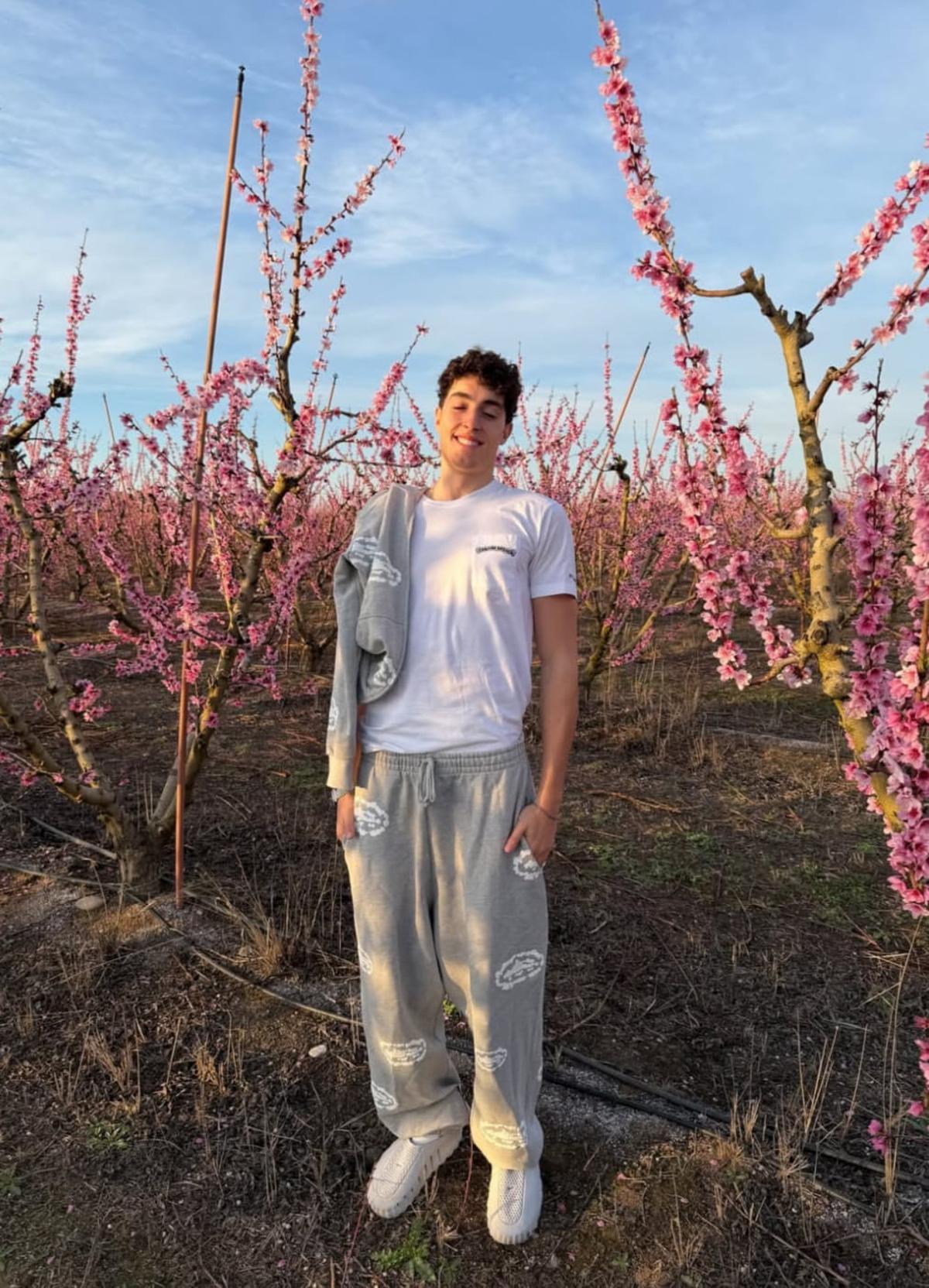 Plex posando entre árboles en flor de un campo de Cieza.