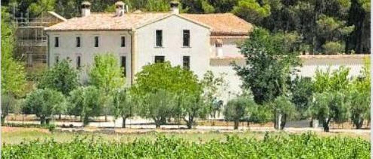 Vista de una finca de viña en Fontanars dels Alforins