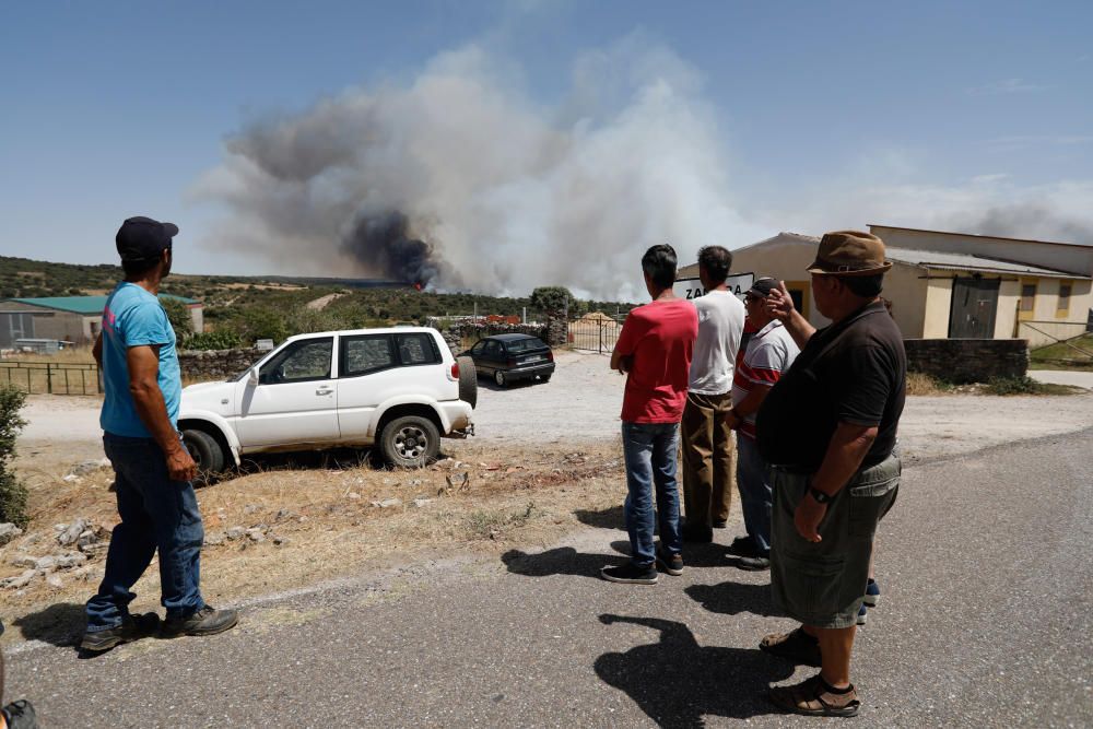 Incendio Pino del Oro y Castro de Alcañices