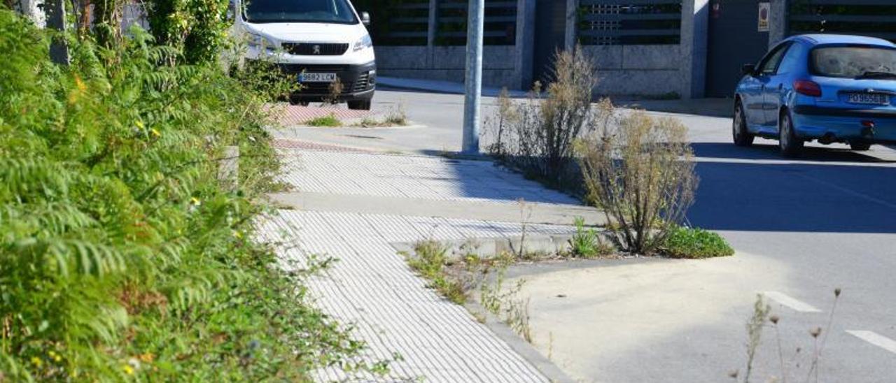 Maleza al borde de uno de los viales de Cangas.   | // G.NÚÑEZ