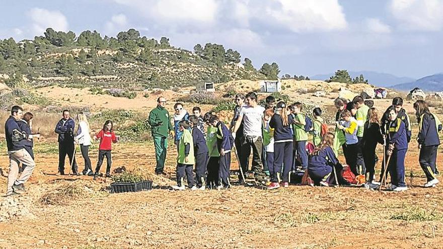 alumnes de segorbe planten fins a 350 arbres