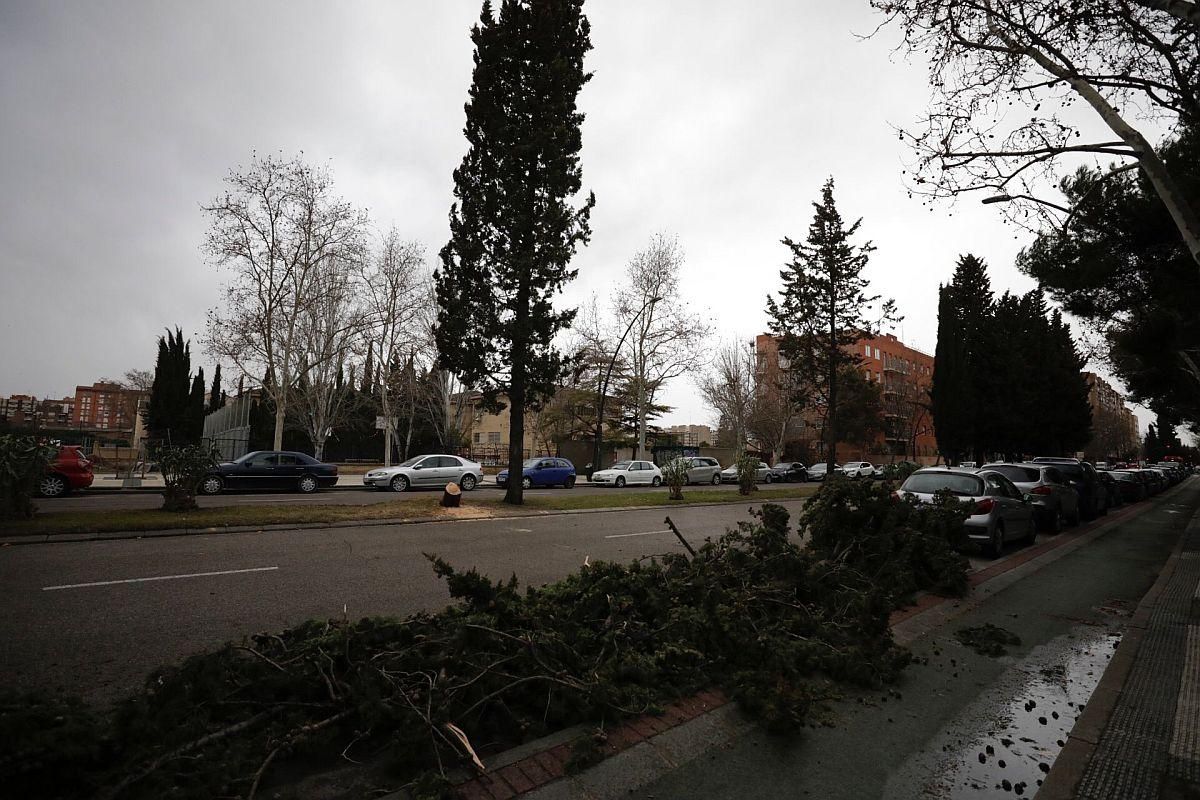 Daños causados por las fuertes rachas de viento registradas en Zaragoza por la borrasca 'Hortensia'