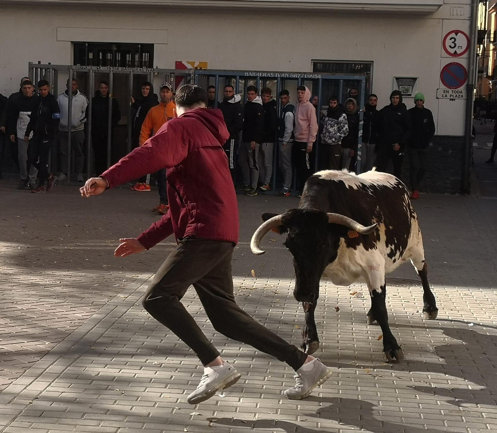 Fin de semana taurina en Navajas por San Antón