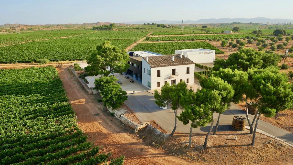 La bodega cuenta con 86 hectáreas de viñedos.
