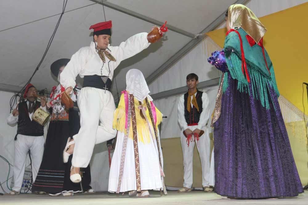 VII Mostra Folklórica Arrels Vives