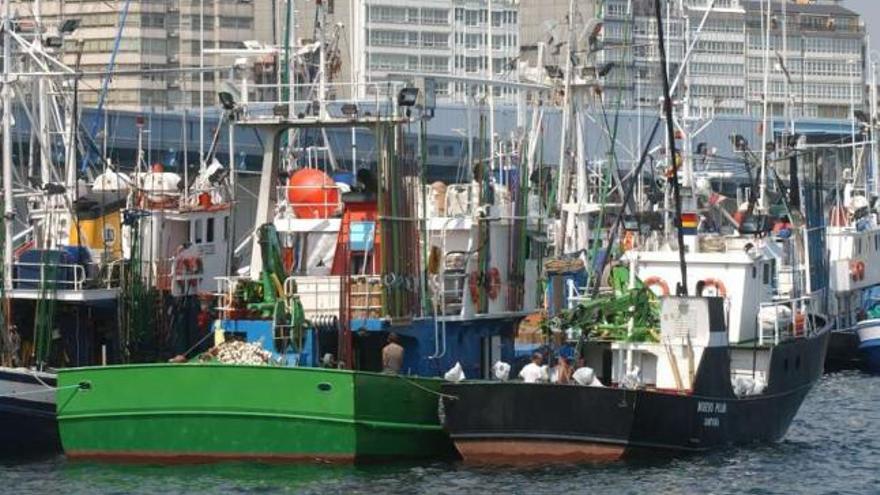 Buques de la flota bonitera amarrados en el puerto de A Coruña. / víctor echave