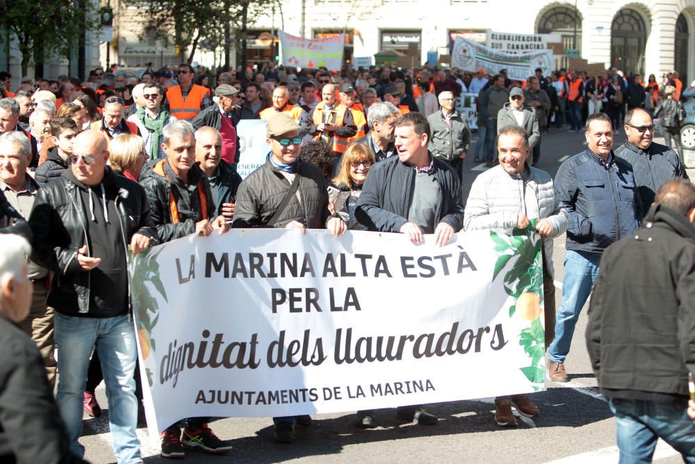 Manifestación en defensa del sector citrícola