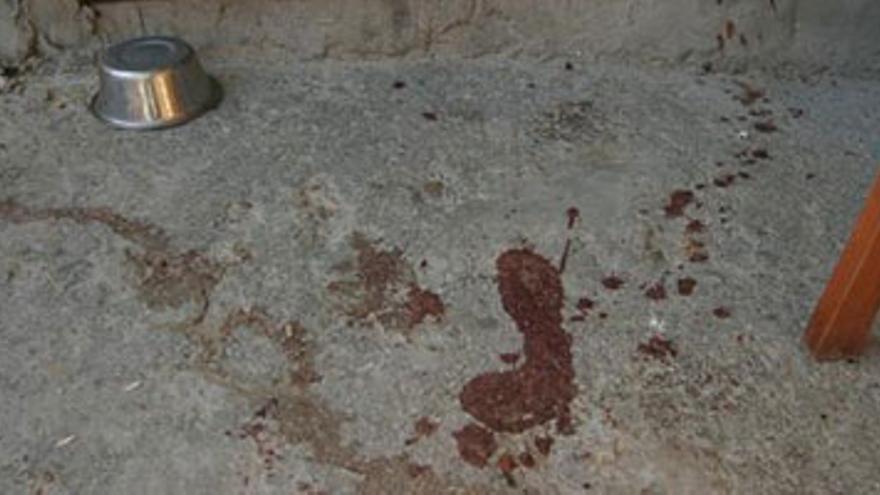 Un hombre resulta herido por arma blanca en su casa de Cerro de Reyes