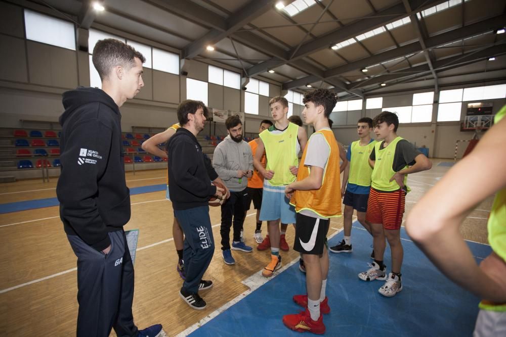 Las concentraciones de balonmano y baloncesto.