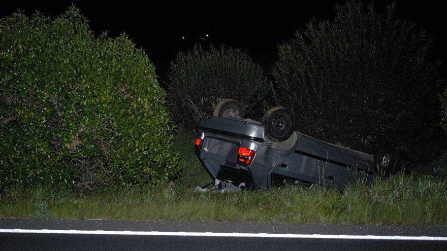 Un coche vuelca tras atropellar un perro en la autopista