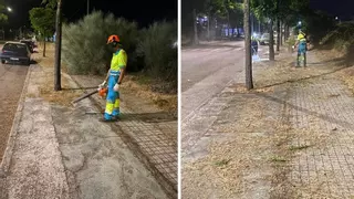 Desbroce exprés en el polígono de Las Capellanías para prevenir incendios en Cáceres