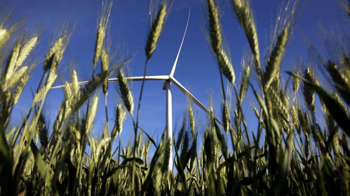 Imagen de un molino de viento.