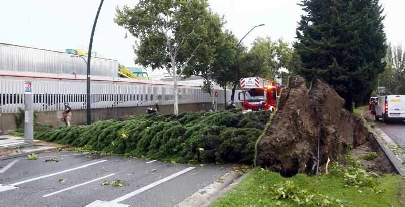 Fuerte tormenta en Zaragoza