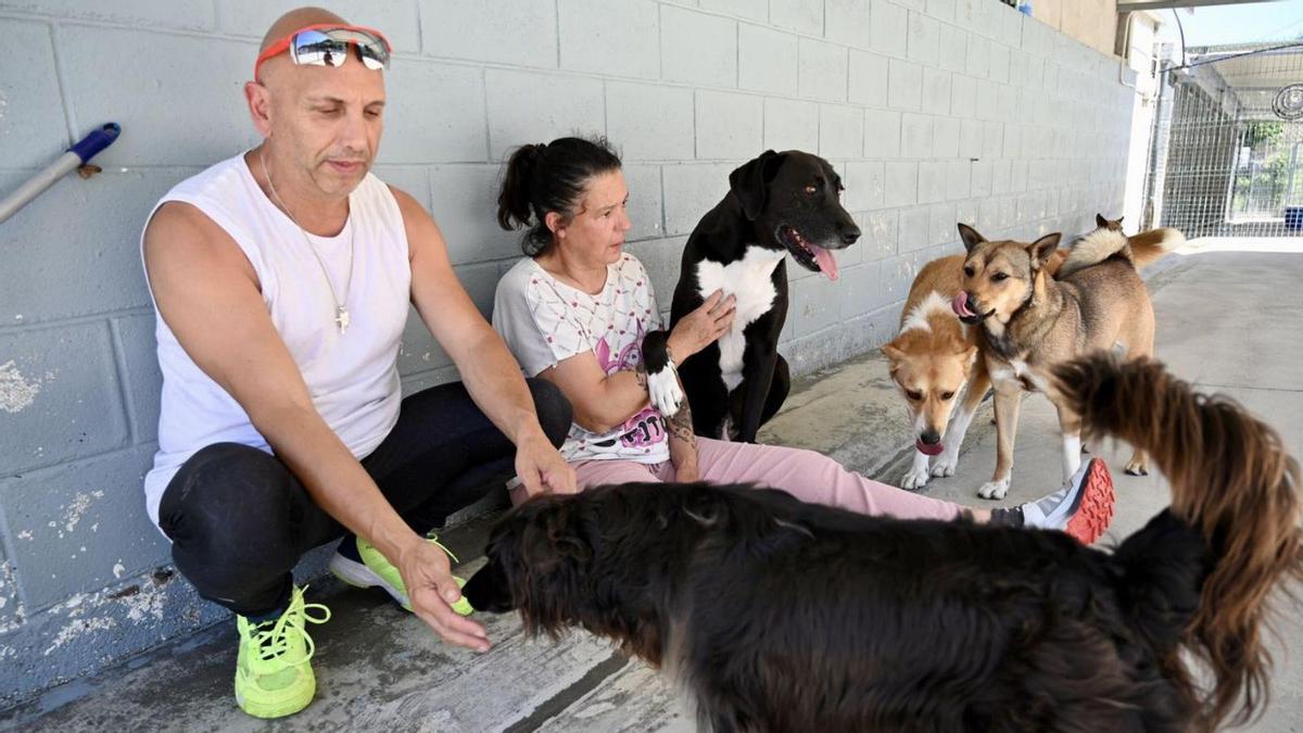 Los voluntarios dan su tiempo para el cuidado de los animales que lo necesitan.