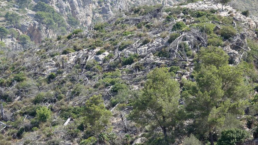 Mallorca se escapa de las llamas