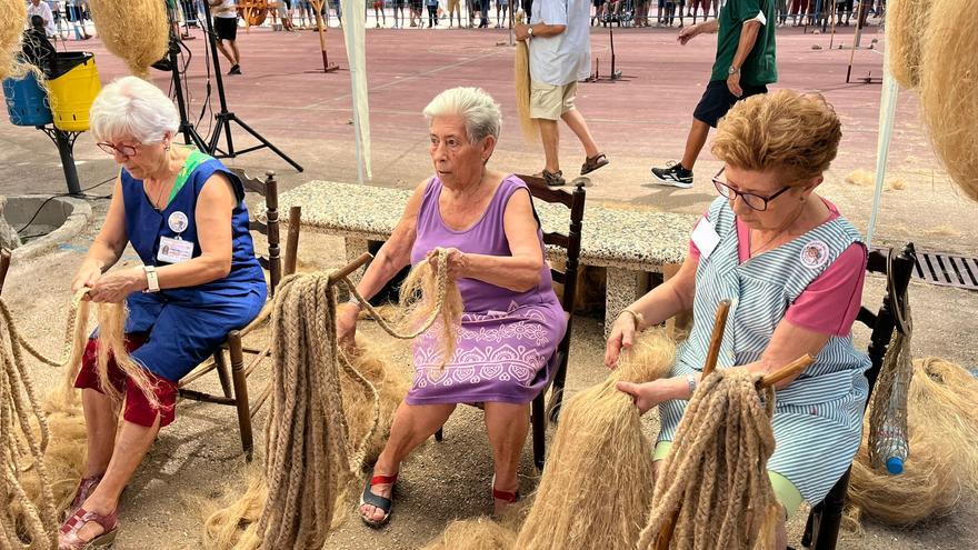 Callosa demuestra que el cáñamo es un cultivo tradicional y de futuro