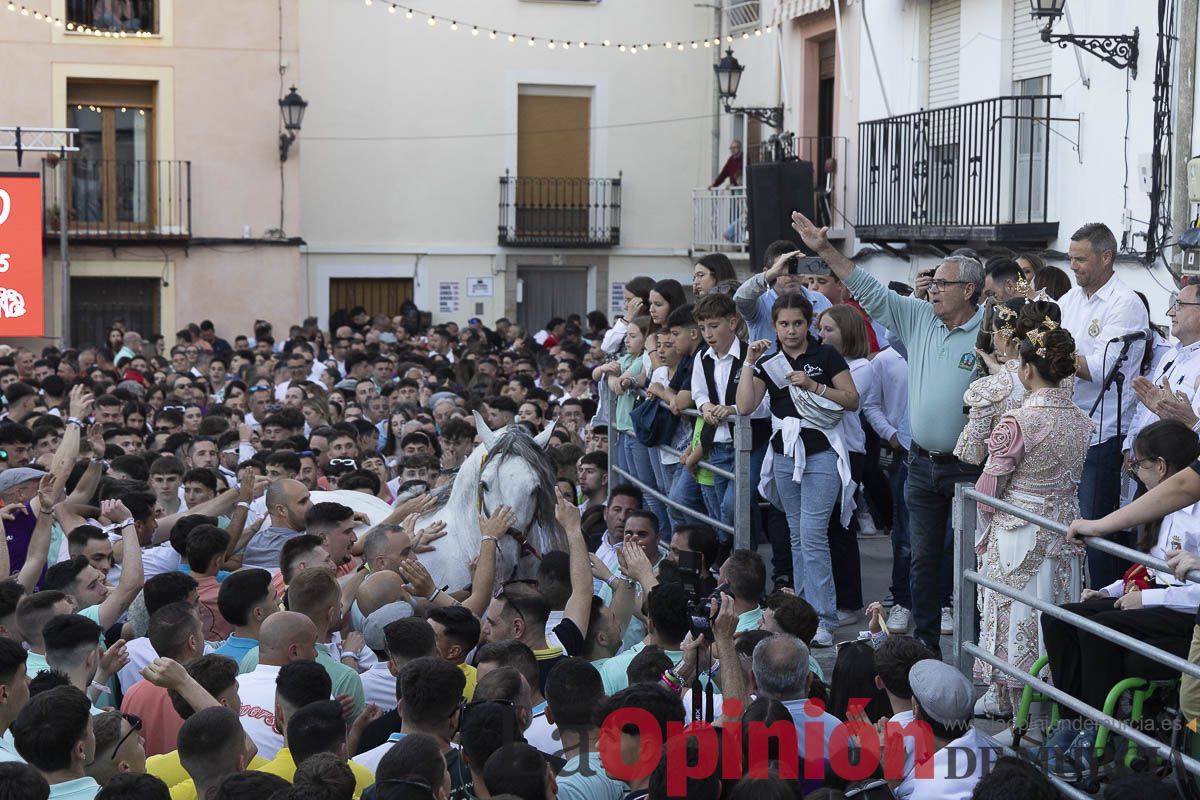 Fiestas de Caravaca | Entrega de premios del concurso morfológico