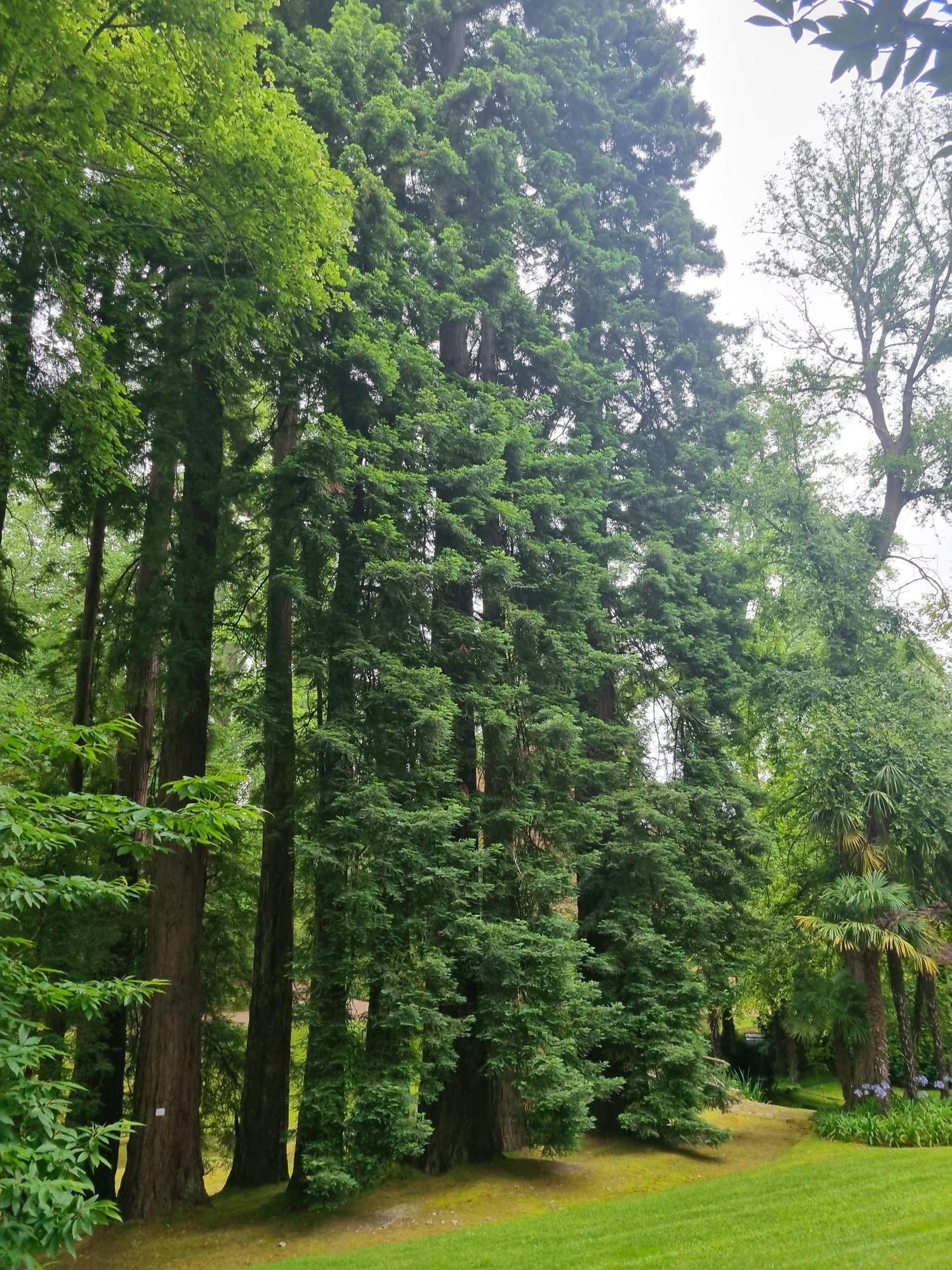 El palacio y los jardines de El Pito, en Cudillero, reabren sus puertas a los turistas