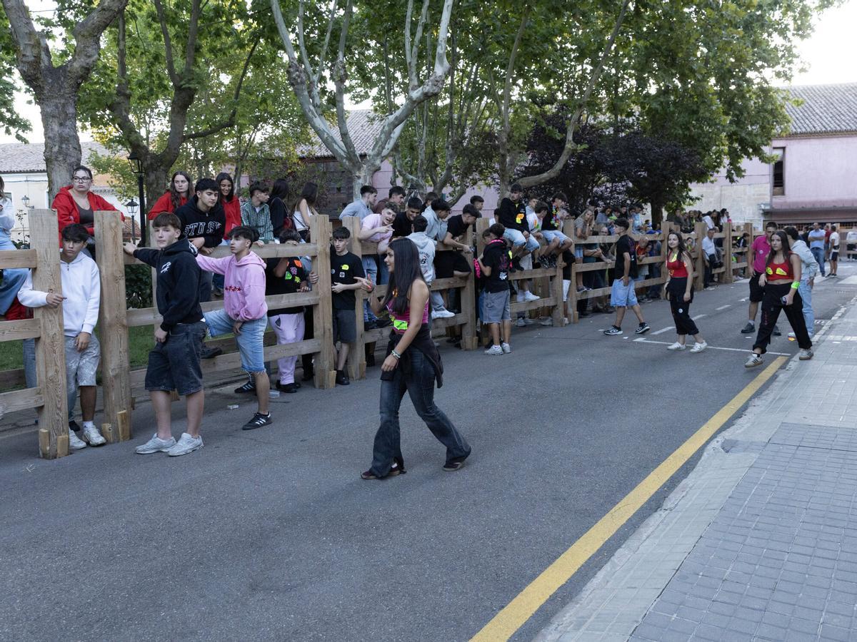 I Encierro tradiconal urbano de novillos, San Agustín Toro 2026