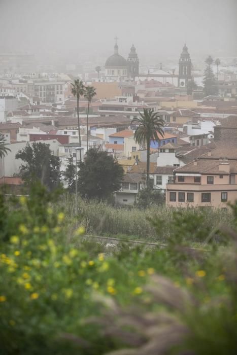 28/03/2018.SOCIEDAD.Calima La Laguna (Tenerife).Fotos: Carsten W. Lauritsen